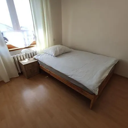 公寓 Bursztyn 米耶伦科